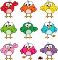 Set of colorful cute funny birds