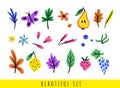 Set of colorful different leaves, flowers, berries, fruits, butterfly and petals Royalty Free Stock Photo