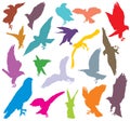 Set of colorful eagle silhouettes-2 Royalty Free Stock Photo