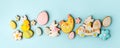 Set of Colorful easter cookies on blue background, assortment sweet gifts, seasonal springtime holiday greeting card, creative