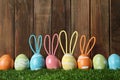 Set of colorful eggs with Easter bunny ears on green grass against wooden background Royalty Free Stock Photo