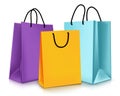 Set of Colorful Empty Shopping Bags . Vector Illustration