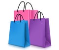 Set of Colorful Empty Shopping Bags . Vector Illustration