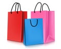 Set of Colorful Empty Shopping Bags . Vector Illustration