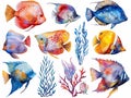 set of colorful fish in watercolor style so white background Royalty Free Stock Photo