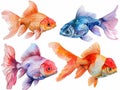 set of colorful fish in watercolor style so white background Royalty Free Stock Photo