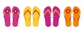 Set of colorful flip flops summer collection swim wear with flower Royalty Free Stock Photo