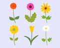 Set of colorful flower in spring season. Vector illustration flat lay flowers element Royalty Free Stock Photo