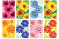 Set of colorful flower wall panels isolated illustration Royalty Free Stock Photo