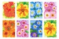 Set of colorful flower wall panels isolated illustration Royalty Free Stock Photo