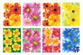 Set of colorful flower wall panels isolated illustration Royalty Free Stock Photo