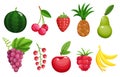 Set of colorful fruit icons apple, pear, strawberry, raspberry, banana, watermelon, pineapple, grapes, cherry, red