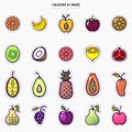 Set of colorful fruit icons isolated on a white background Royalty Free Stock Photo