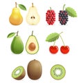 Set of colorful fruit icons pear, mulberry, cherry, kiwi, avocado. Vector illustration.