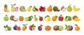 Set of colorful fruits of different seasons, vector illustration on white background