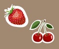 Set of colorful fruits stickers on brown.