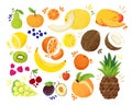 Set of colorful hand draw fruits tropical sweet fruits, and citrus fruit illustration. Apple, pear, orange, banana Royalty Free Stock Photo