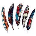 Set of colorful hand drawn Ethnic feathers. Ornate doodle quills. Royalty Free Stock Photo