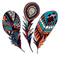 Set of colorful hand drawn Ethnic feathers. Ornate doodle quills.