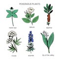 Set of colorful hand drawn poisonous plants. Illustration of toxic herbs in line art sketchy style.