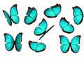 Set colorful isolated butterflies.