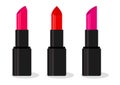 Set of colorful lipsticks. Bright pomade with shadow. Vector illustration