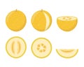 Set of colorful melon icons Royalty Free Stock Photo