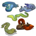 Set of colorful moray eels isolated on white background. Vector cartoon close-up illustration.