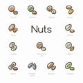 Set of colorful nuts icons