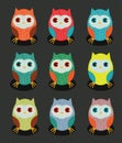 Set of colorful owl graphic.