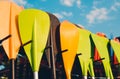 Set of colorful paddles of kayak and canoe sport. Surfing and SUP boarding equipment in sunset lights close-up. Outdoor Royalty Free Stock Photo