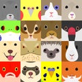 Set of cute pet animals face in square