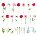 Set of colorful poppy flowers isolated on white. Vector illustration Royalty Free Stock Photo