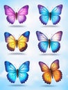 Set of colorful realistic butterflies.