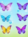 Set of colorful realistic butterflies.