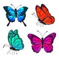 Set of Colorful Realistic Butterflies Royalty Free Stock Photo