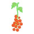 Set of colorful realistic redcurrant icon. Idea for decors, damask, spring holidays, nature themes. Isolated vector logo.