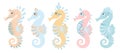 Set of colorful sea horses on white background. Abstract seahorse, cartoon style Royalty Free Stock Photo