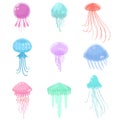 Set of colorful sea and ocean jellyfish marine creature