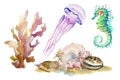 Set of colorful sea shells, coral, jellyfish and seahorse. Hand drawn watercolor illustration Royalty Free Stock Photo