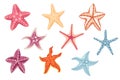 Set of colorful simple starfish vector illustration isolated on white background Royalty Free Stock Photo