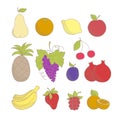 Set of colorful sketched hand drawn friuts and berries: apple, pineapple, grape, lemon, orange, banana, pear, cherry, strawberry