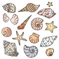 Set of colorful starfish icons, silhouette icon of seashells on white background. Sketches of doodle shells in color