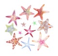 Set of colorful starfishes Royalty Free Stock Photo