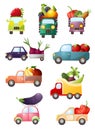 Set of colorful toy cars with fresh vegetables and fruits Royalty Free Stock Photo