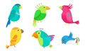 Set of colorful tropical birds and parrots vector illustration Royalty Free Stock Photo