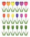 Set of colorful tulip icons, abstract flower symbols, vector