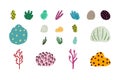 Set of colorful underwater design elements. Vector illustration