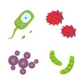 Set colorful viruses vector illustration. Bacteria and micro-organisms in cartoon style.