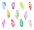 Set of Colorful Watercolor Feathers. Hand Drawn and Painted. Isolated on White Royalty Free Stock Photo